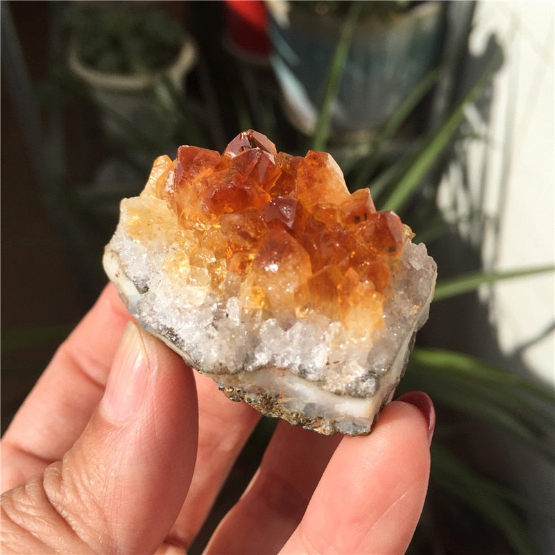 Citrine Druzy Crystal Clusters - thebodymindsoulshop