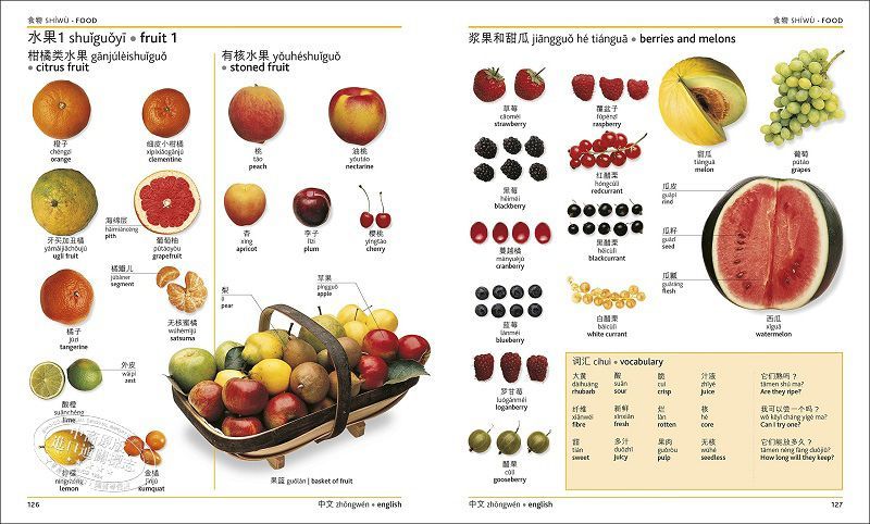 Chinese English Visual Bilingual Dictionary - thebodymindsoulshop