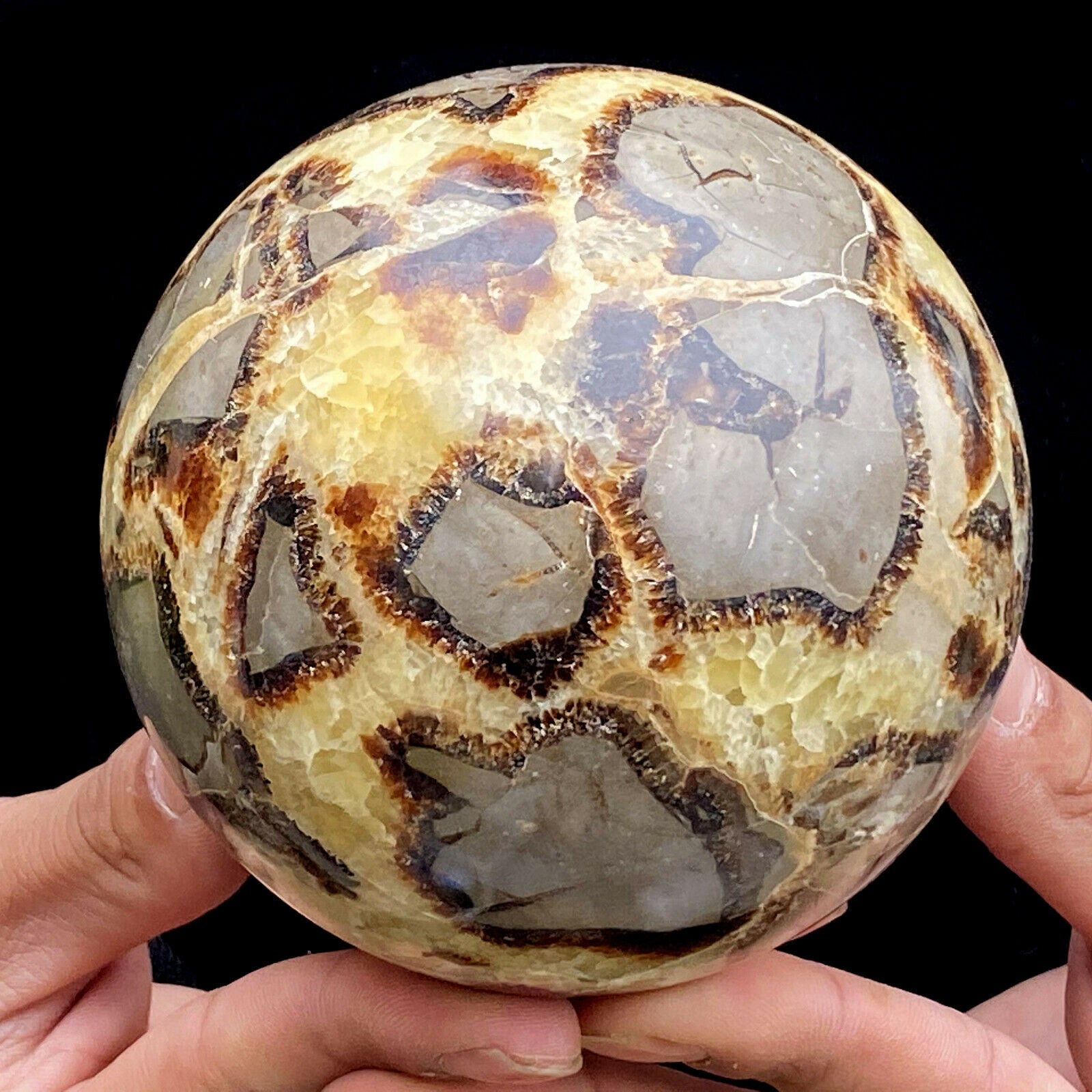 Dragon Stone Septarium Fossil Crystal Sphere - thebodymindsoulshop