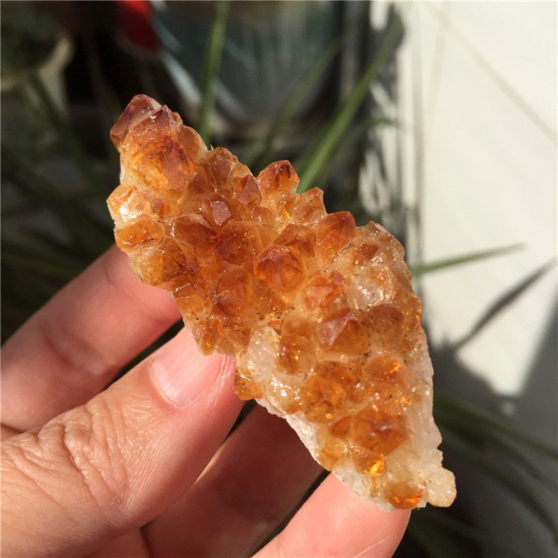 Citrine Druzy Crystal Clusters - thebodymindsoulshop