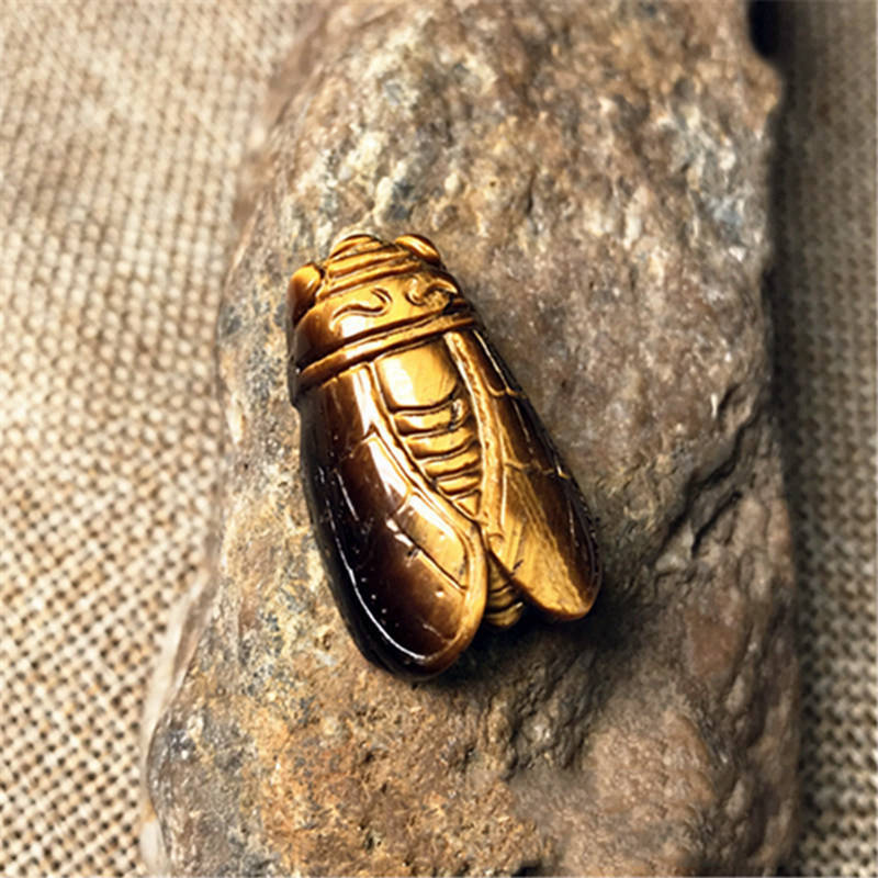 Tiger Eye Rock Cicada Carving - thebodymindsoulshop