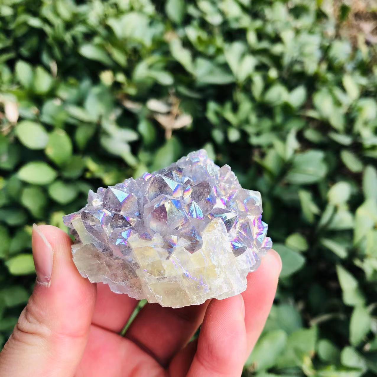 Angel Aura Amethyst Druzy Cluster - thebodymindsoulshop