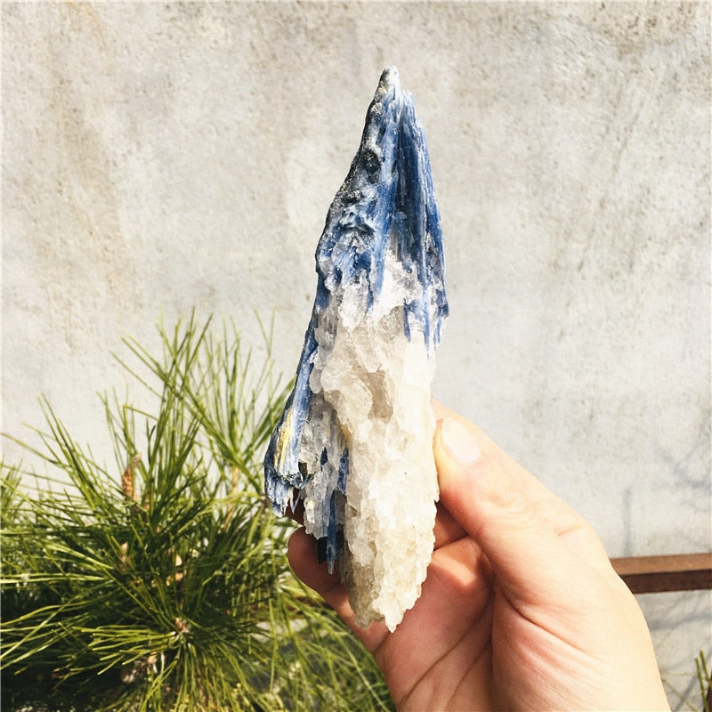 Rough Kyanite Gem stone - thebodymindsoulshop