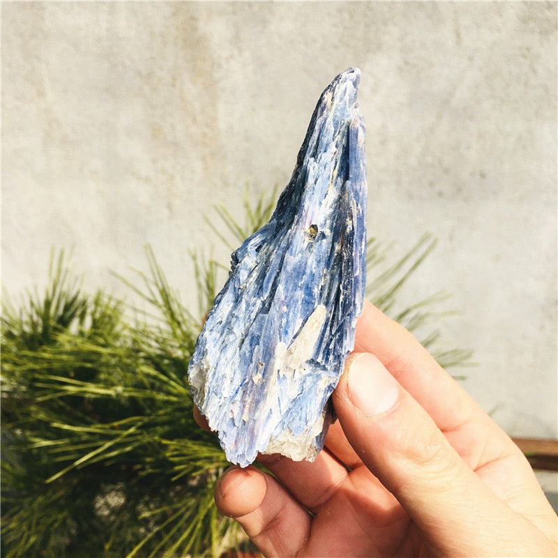 Rough Kyanite Gem stone - thebodymindsoulshop