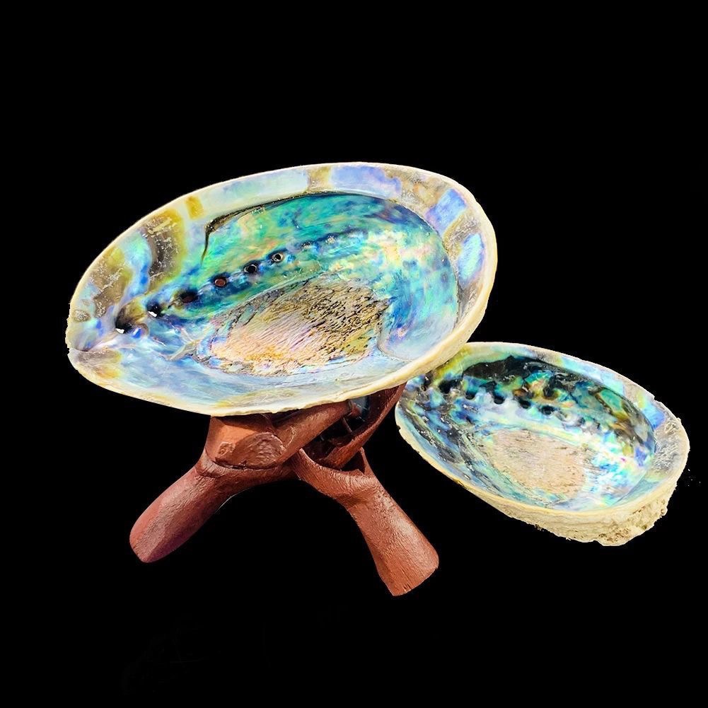 Abalone Shell Kit Wooden Tripod Stand Holder - thebodymindsoulshop