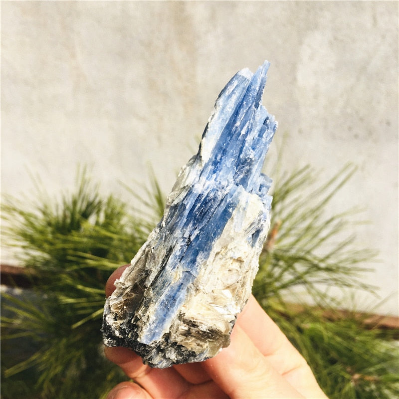 Rough Kyanite Gem stone - thebodymindsoulshop