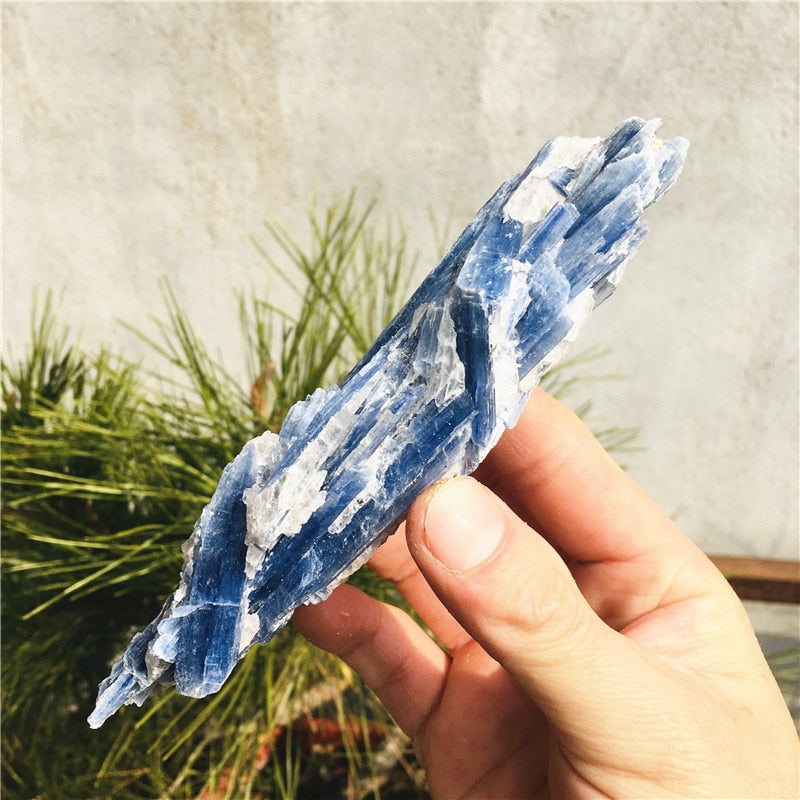 Rough Kyanite Gem stone - thebodymindsoulshop