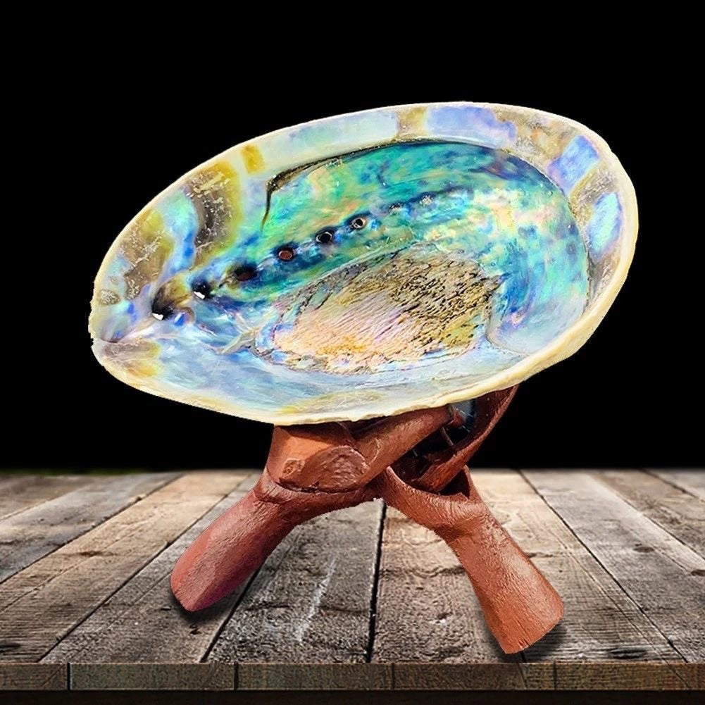 Abalone Shell Kit Wooden Tripod Stand Holder - thebodymindsoulshop