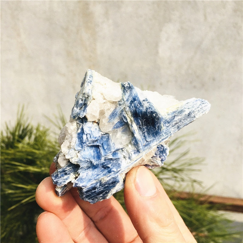 Rough Kyanite Gem stone - thebodymindsoulshop