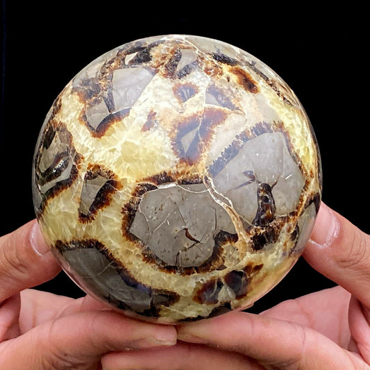 Dragon Stone Septarium Fossil Crystal Sphere - thebodymindsoulshop