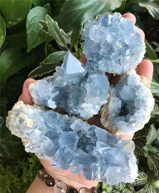 Blue Celestite Crystal Clusters - thebodymindsoulshop