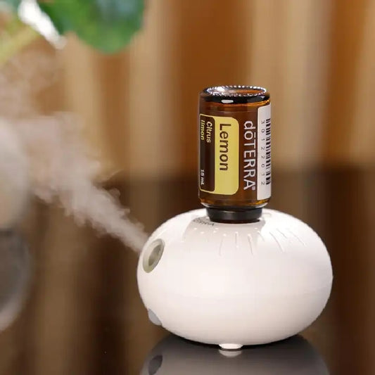 USB Car Nano Bubble Essential Oil Diffuser - thebodymindsoulshop