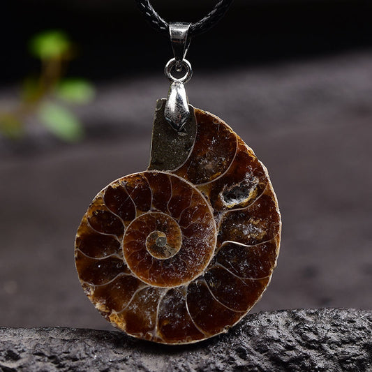 Petrified Shell Pendant - thebodymindsoulshop