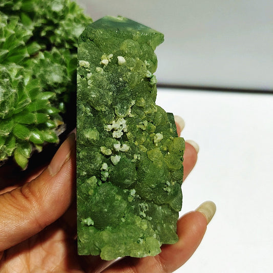 Green Grape Agate Pillars (Some striated with Black Tourmaline) - thebodymindsoulshop